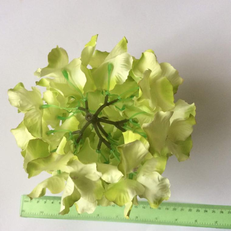 Загружен программно: image_862.jpg