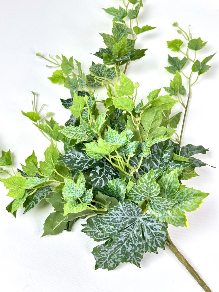 Загружен программно: img_0031.jpeg