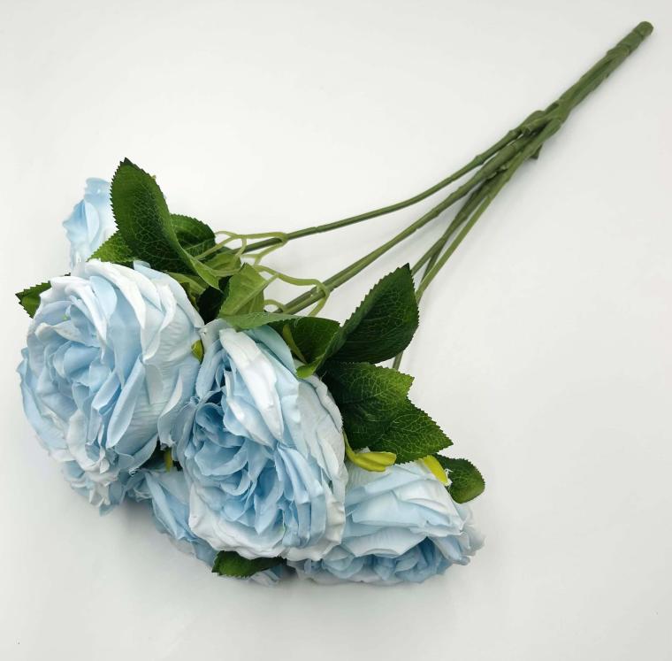 Загружен программно: img_0217.jpg