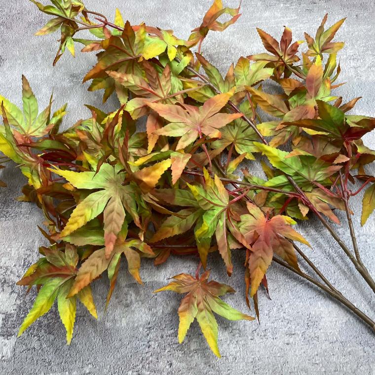 Загружен программно: img_0271.jpg