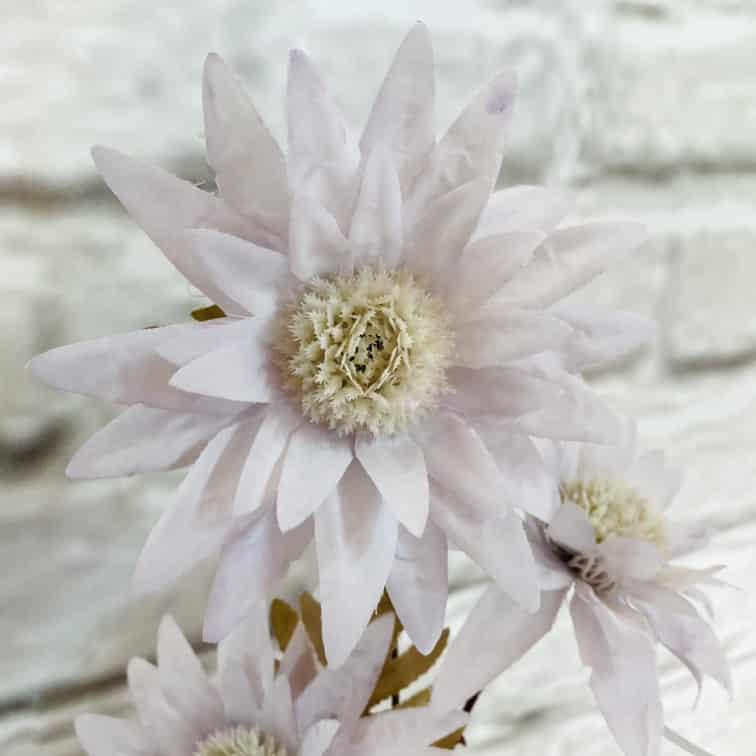 Загружен программно: img_0287.jpg