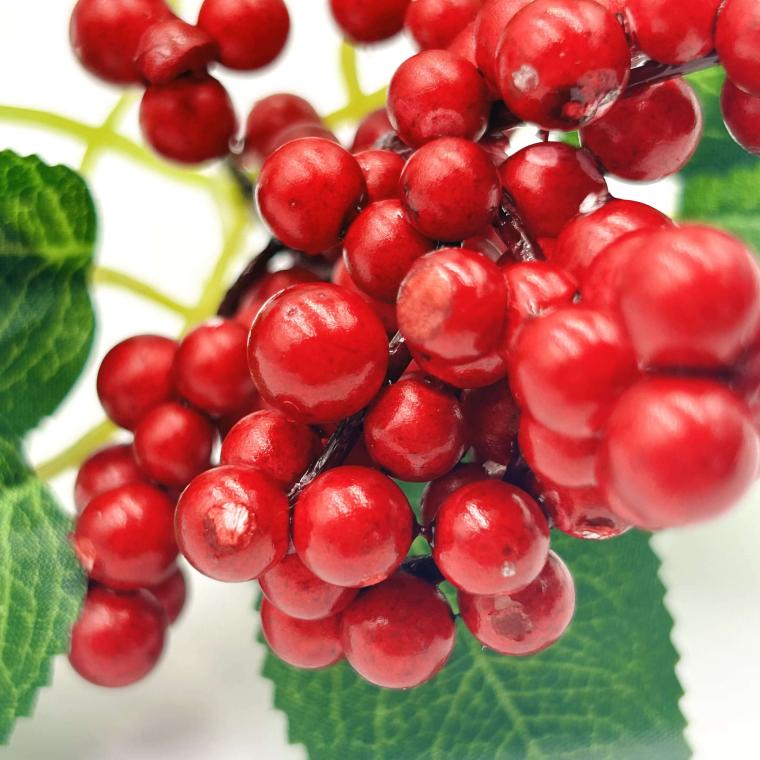 Загружен программно: img_0859.jpg