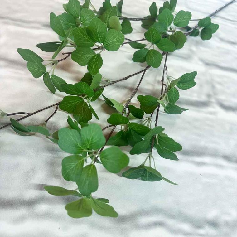 Загружен программно: img_0865.jpg