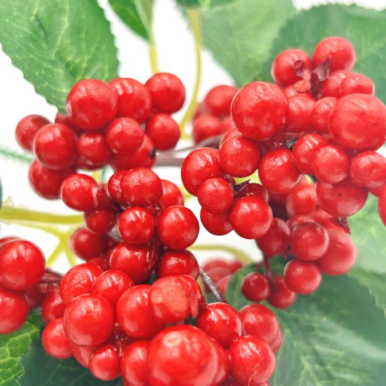 Загружен программно: img_0869.jpg