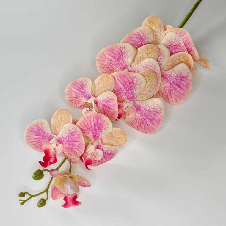 Загружен программно: img_1061.jpg