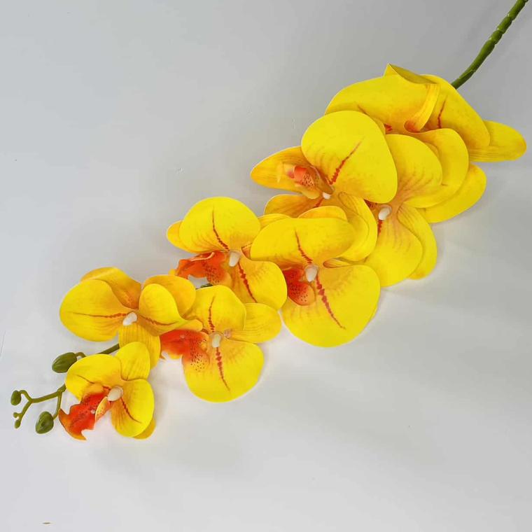 Загружен программно: img_1065.jpg