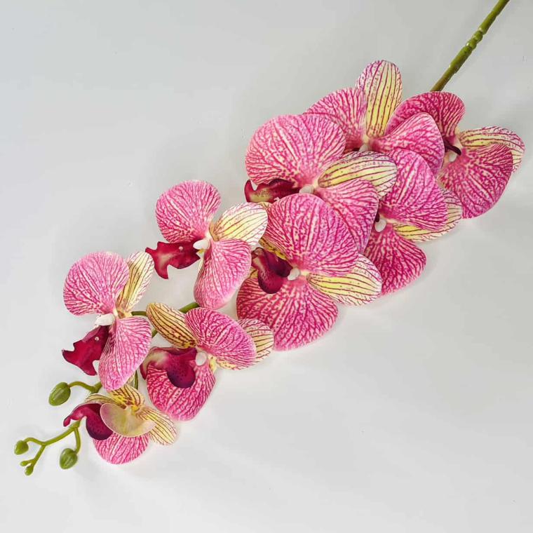 Загружен программно: img_1067.jpg