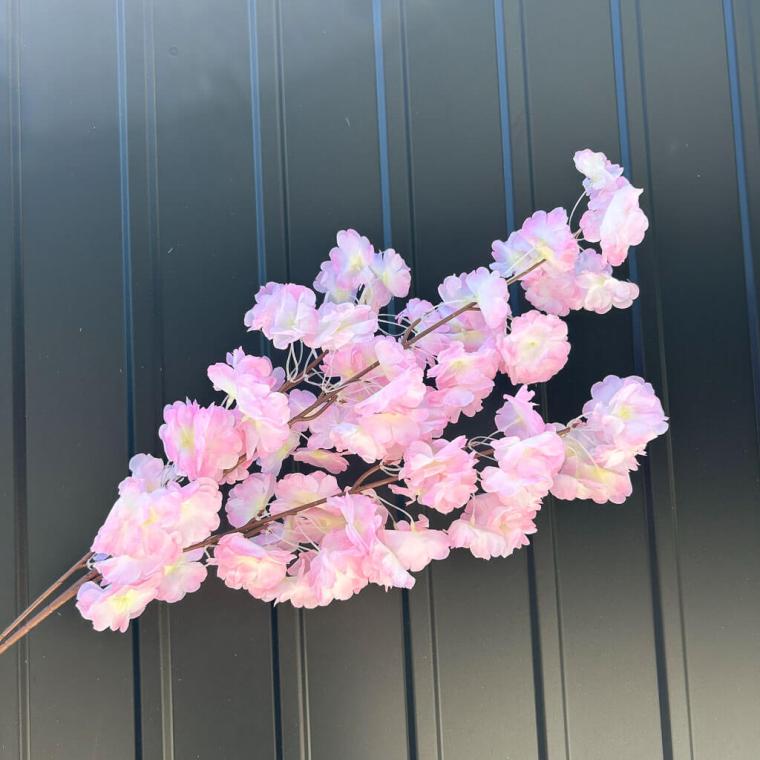 Загружен программно: img_1103.jpg