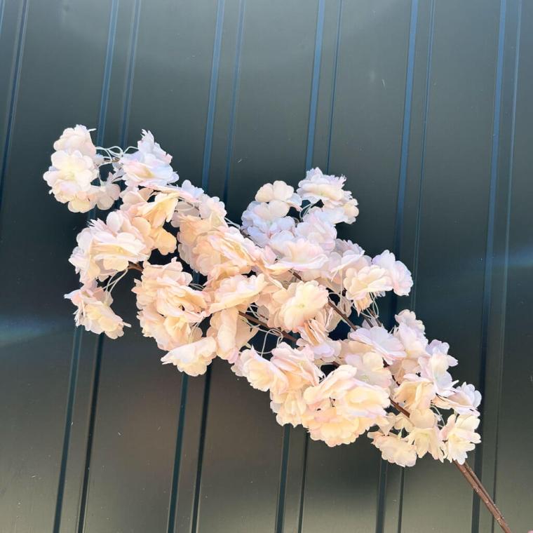 Загружен программно: img_1105.jpg