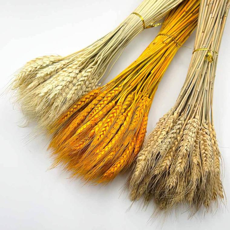 Загружен программно: img_1115_1.jpg