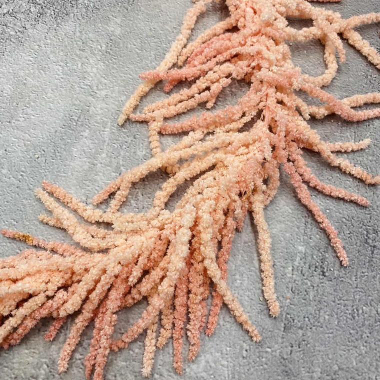 Загружен программно: img_1126.jpg