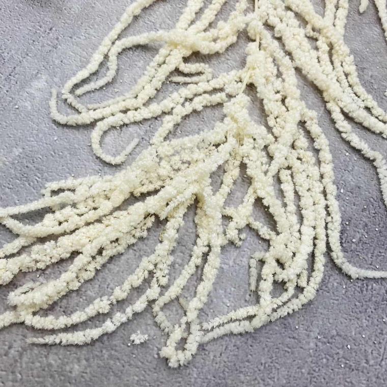 Загружен программно: img_1128.jpg