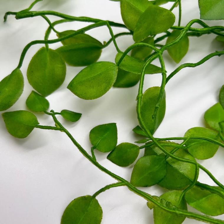 Загружен программно: img_1152.jpg