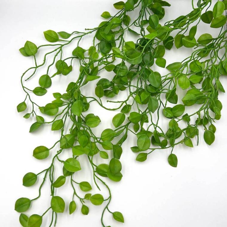 Загружен программно: img_1153.jpg