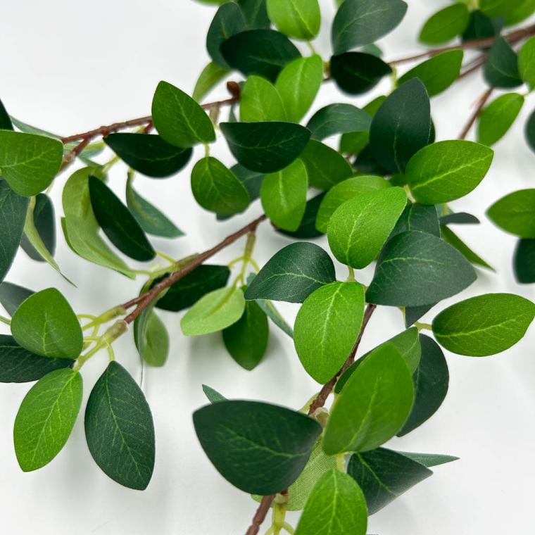 Загружен программно: img_1155.jpg