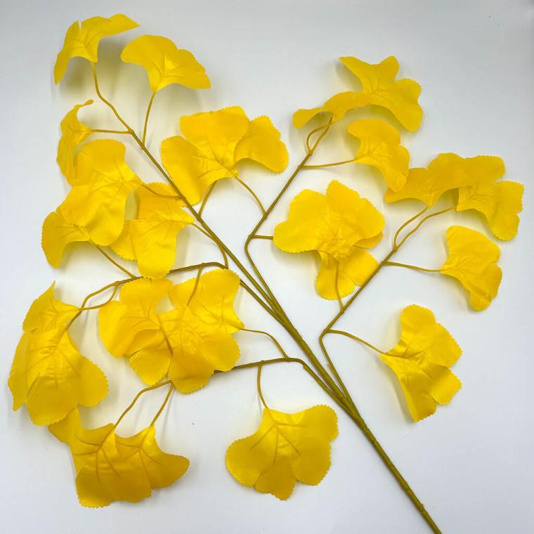 Загружен программно: img_1196.jpg