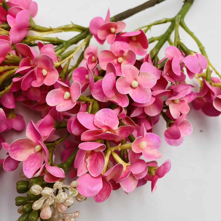 Загружен программно: img_1214.jpg