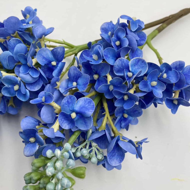 Загружен программно: img_1216.jpg