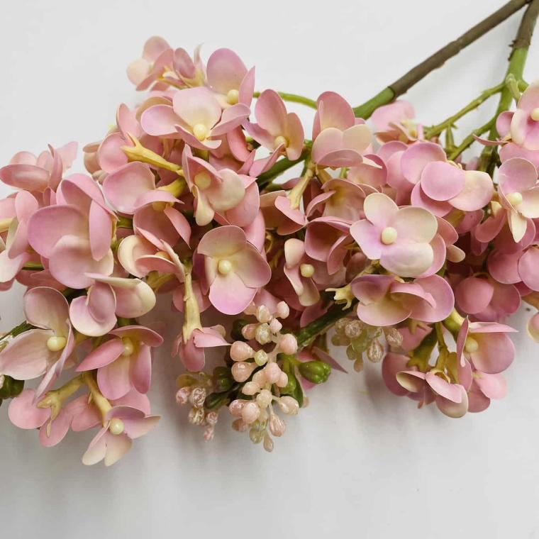 Загружен программно: img_1218.jpg