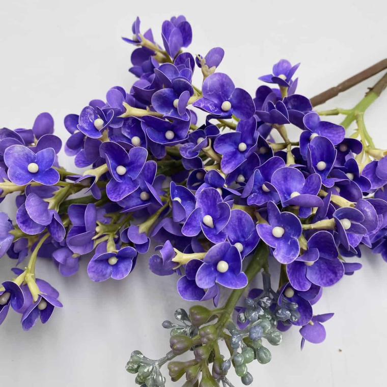 Загружен программно: img_1221.jpg