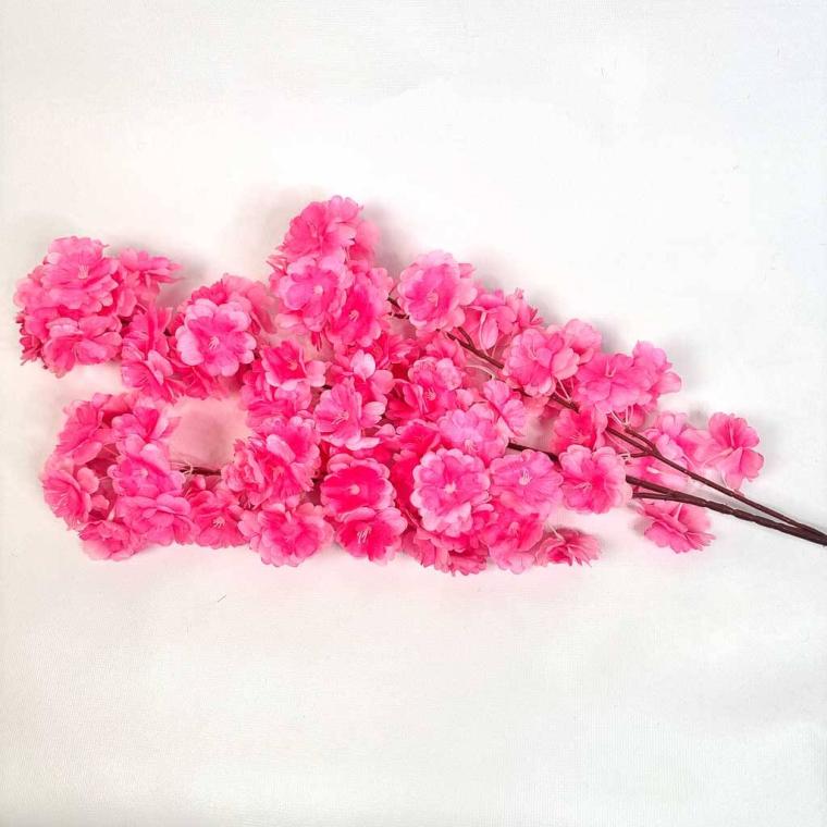 Загружен программно: img_1249.jpg