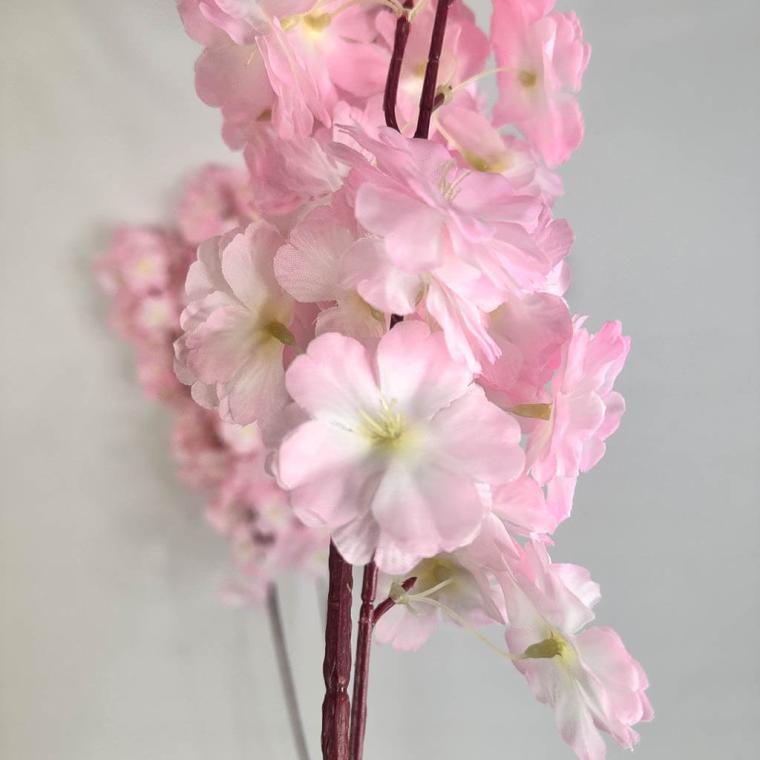 Загружен программно: img_1258.jpg