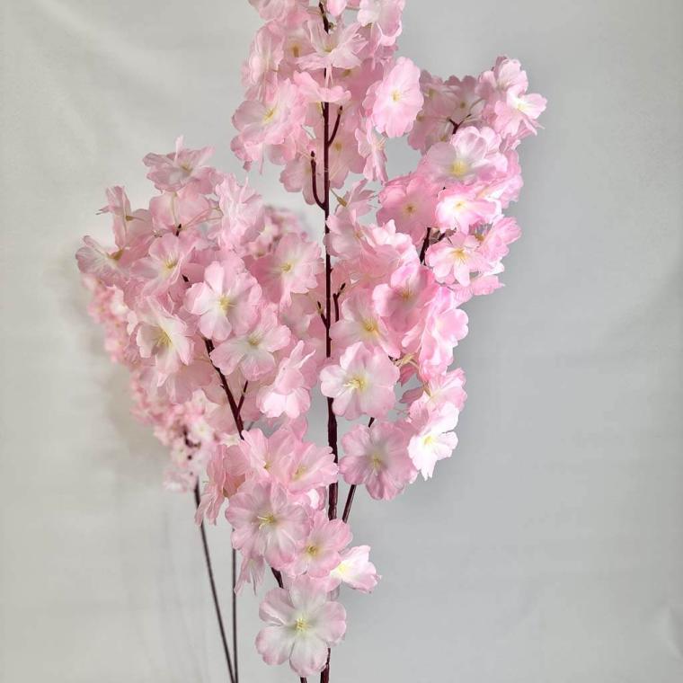 Загружен программно: img_1260.jpg