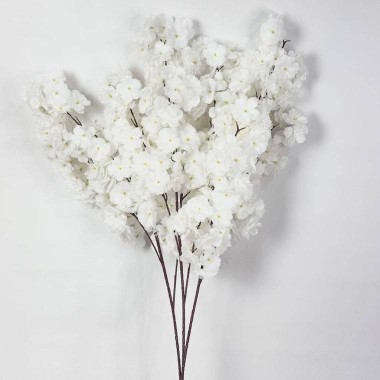 Загружен программно: img_1261.jpg