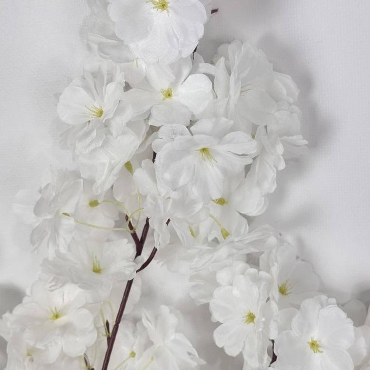 Загружен программно: img_1268.jpg