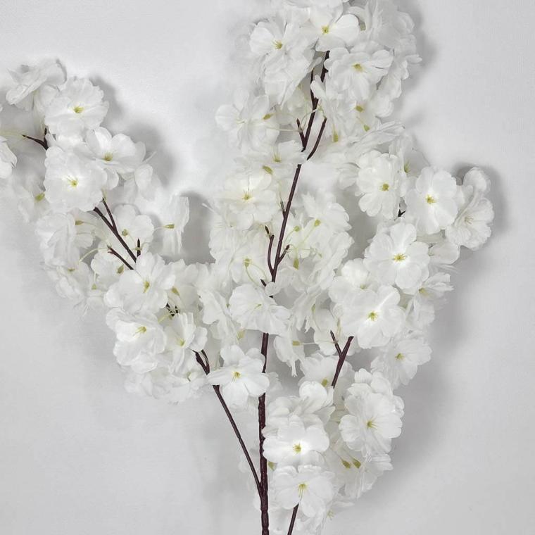 Загружен программно: img_1269.jpg