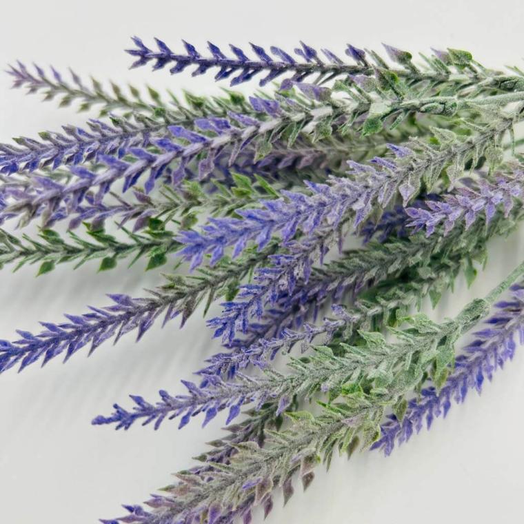 Загружен программно: img_1272.jpg