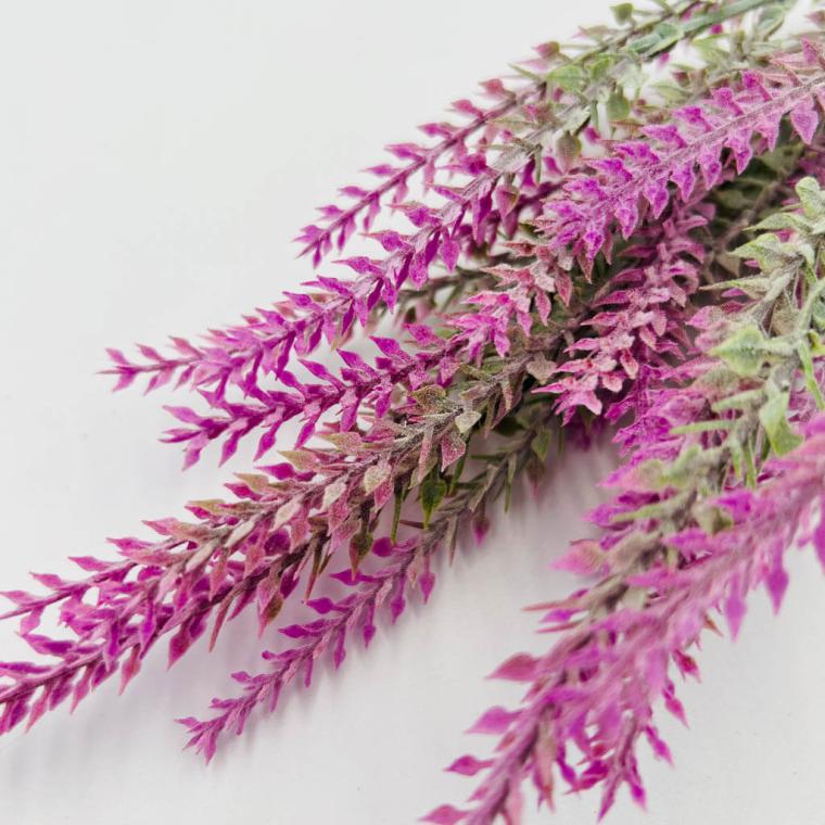 Загружен программно: img_1278.jpg