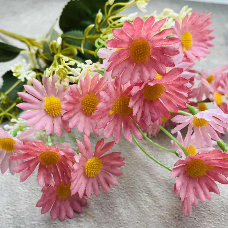 Загружен программно: img_1284_0.jpg