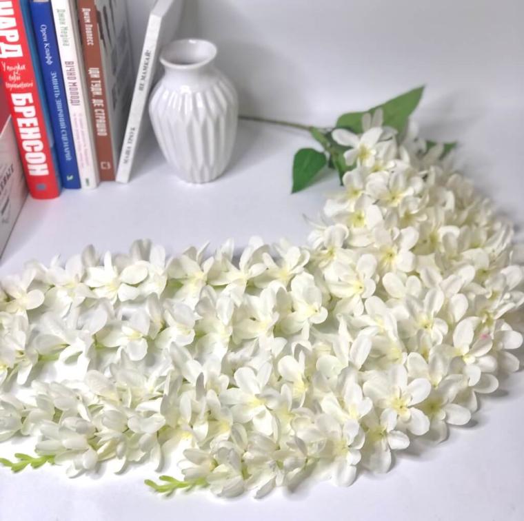 Загружен программно: img_1309.jpg