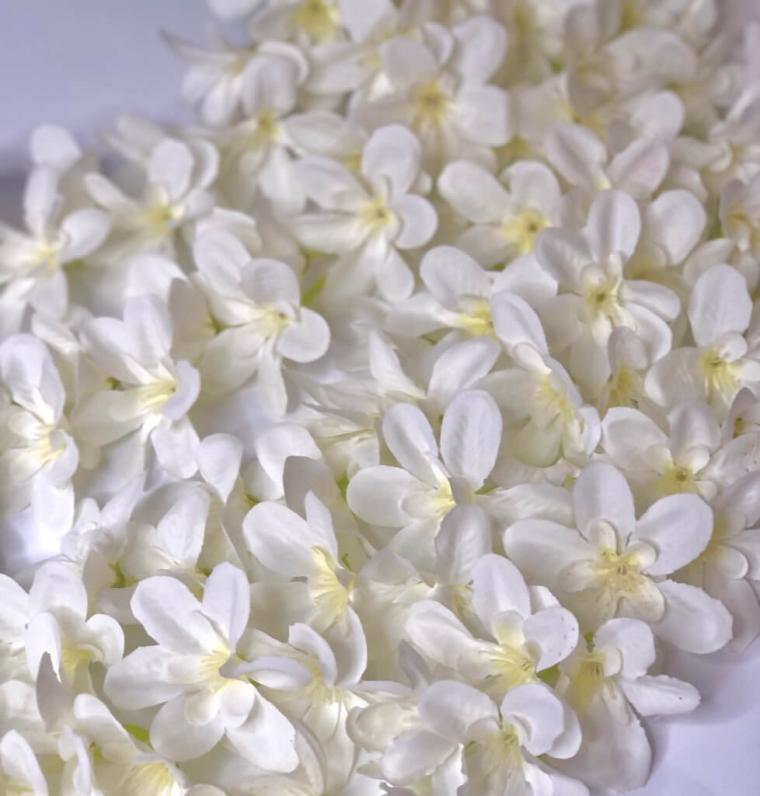 Загружен программно: img_1310.jpg