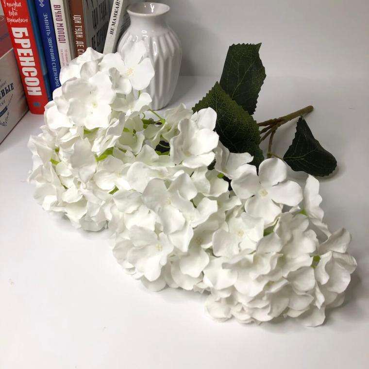 Загружен программно: img_1322.jpg