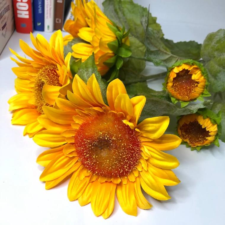 Загружен программно: img_1339.jpg