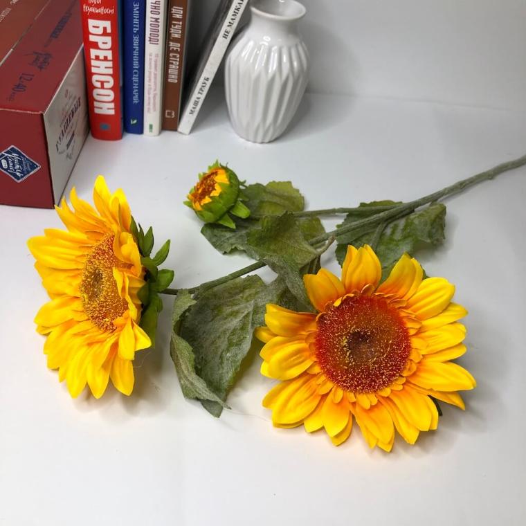 Загружен программно: img_1340.jpg