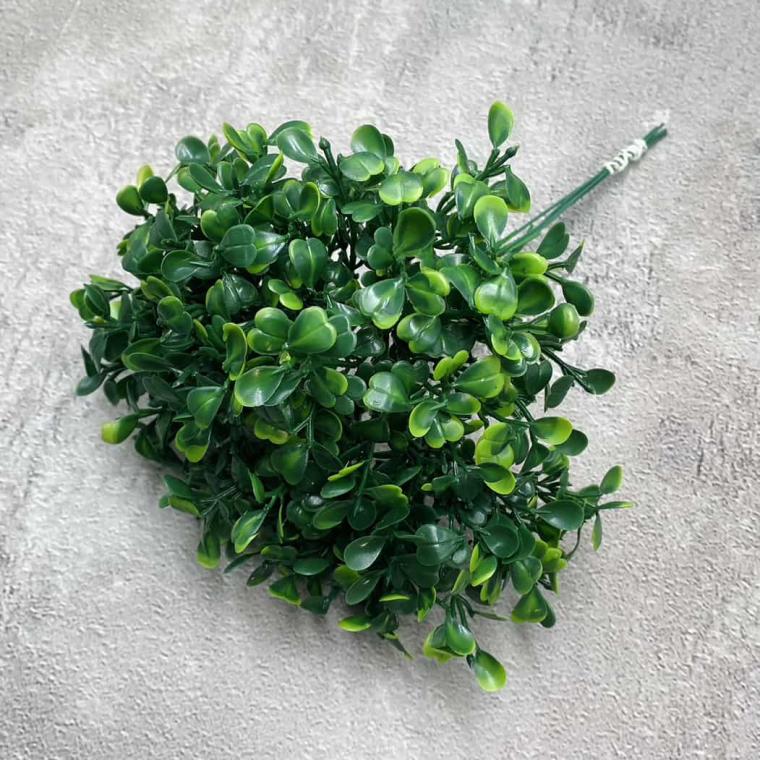 Загружен программно: img_1341_0.jpg