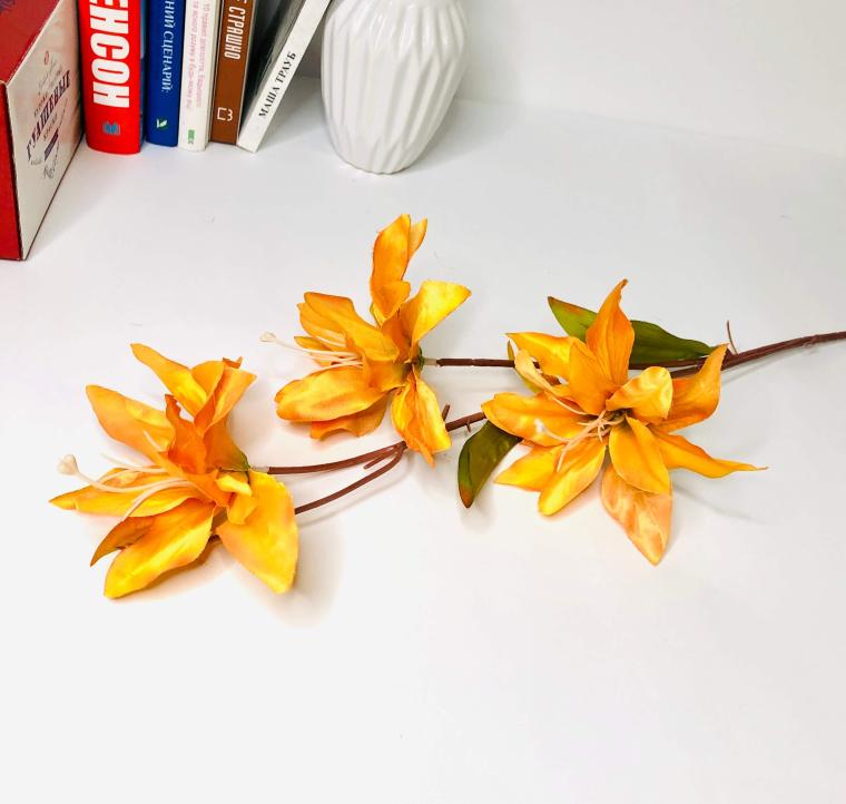 Загружен программно: img_1345.jpg