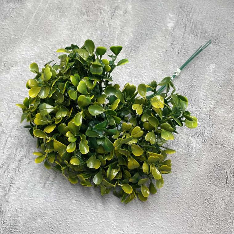 Загружен программно: img_1347.jpg