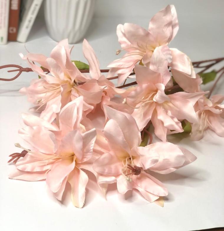 Загружен программно: img_1350.jpg