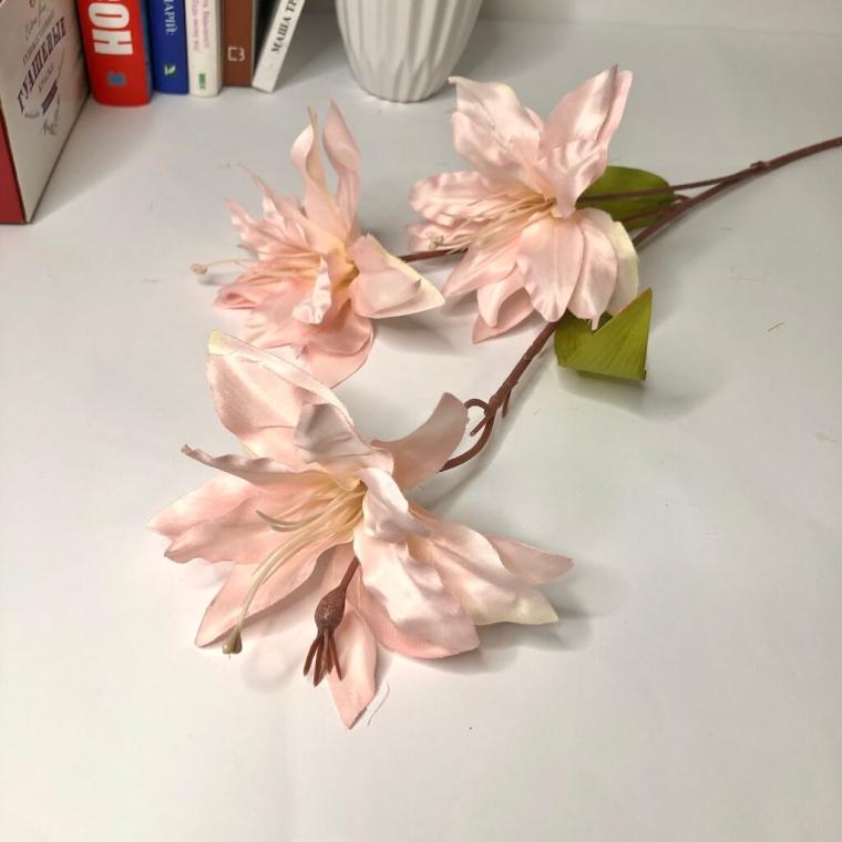 Загружен программно: img_1352.jpg