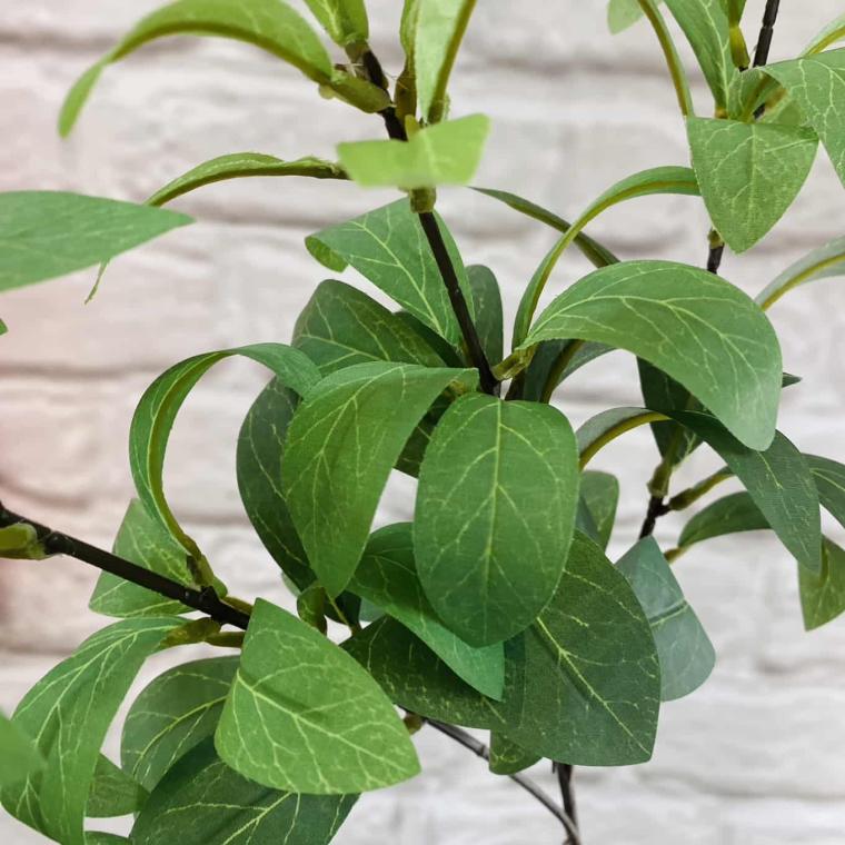 Загружен программно: img_1384.jpg