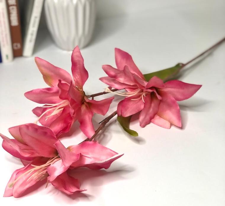 Загружен программно: img_1399.jpg