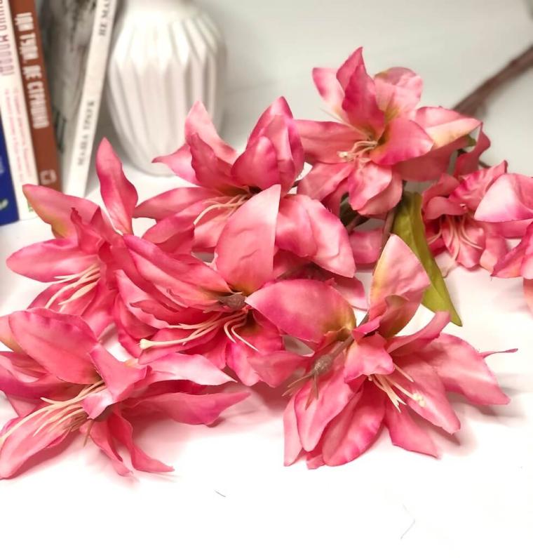 Загружен программно: img_1400.jpg