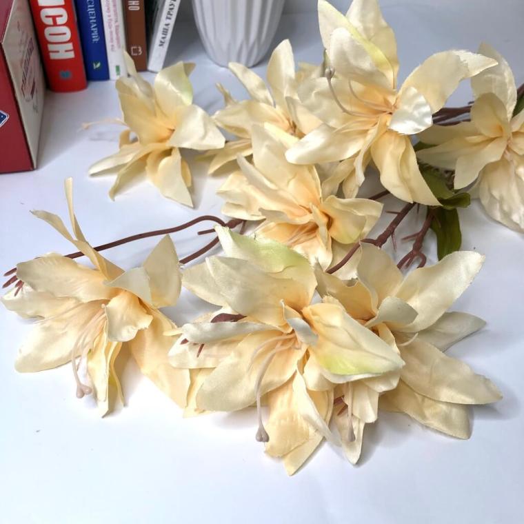 Загружен программно: img_1403.jpg