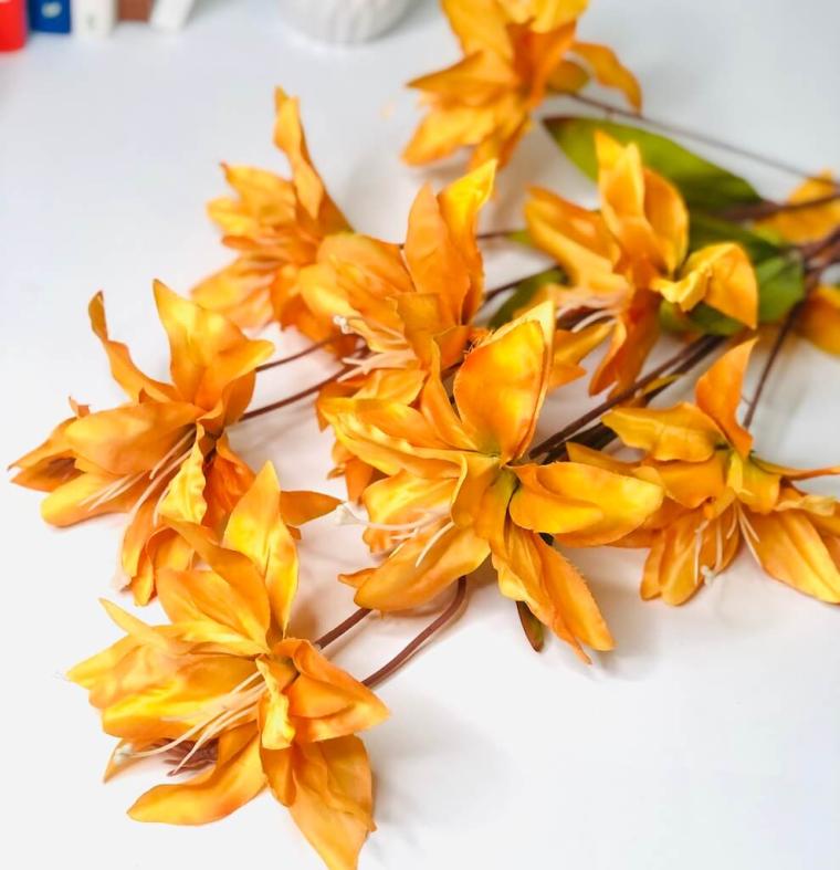 Загружен программно: img_1405.jpg