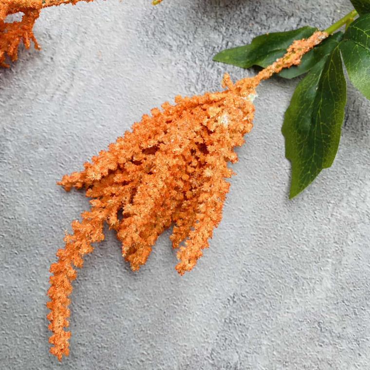 Загружен программно: img_1423.jpg