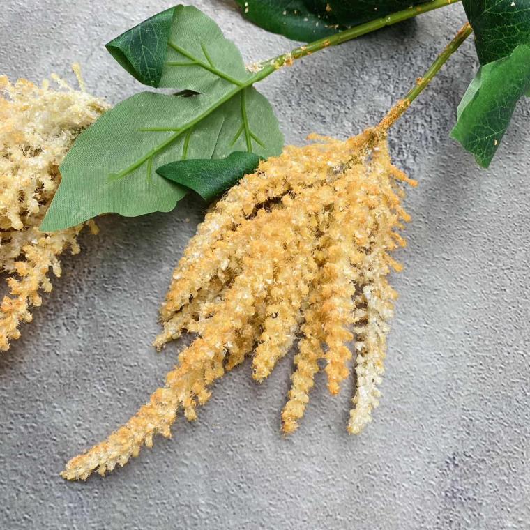 Загружен программно: img_1425.jpg